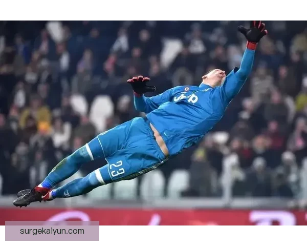 阿利松与布冯守门风格相似点：站位稳健、反应迅速、大赛发挥稳定